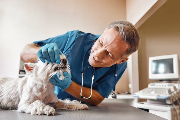 Best Broken Tooth Emergency  in Viera West, FL